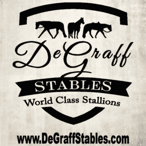 Logo Me - DeGraff Stables World Class Stallion Station