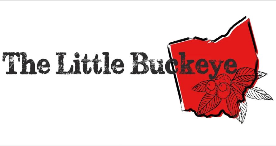 The Little Buckeye Quarter Horse Show